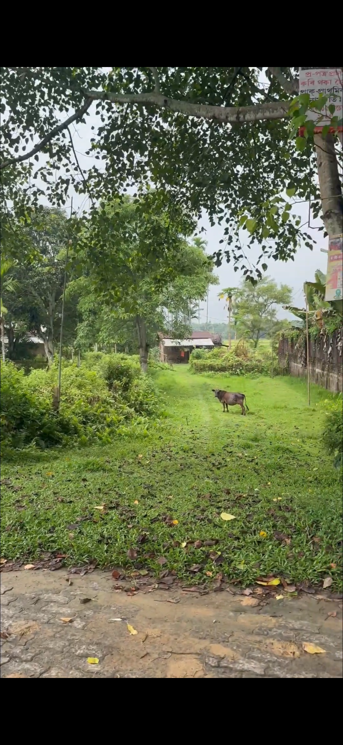 Residential Plot in Karanga, Jorhat