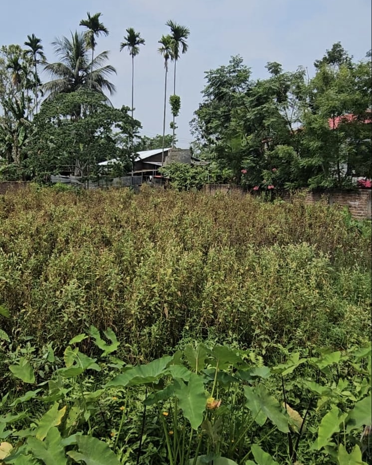 Residential Plot in Jorhat, Jorhat