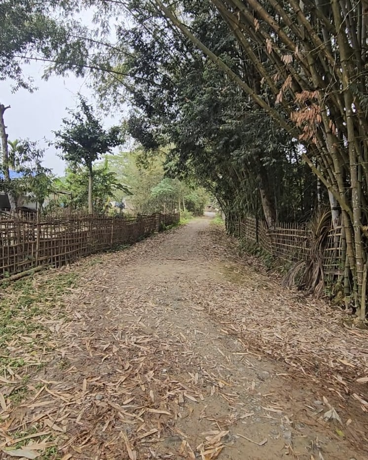 Residential Plot in Jorhat, Jorhat