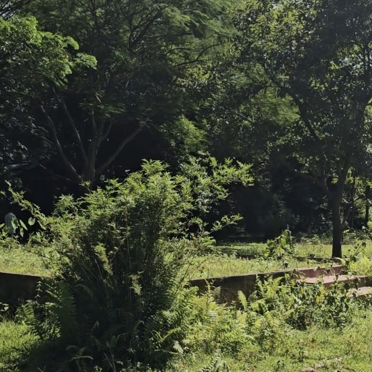 Resort Land for Sale in Kaziranga — main view