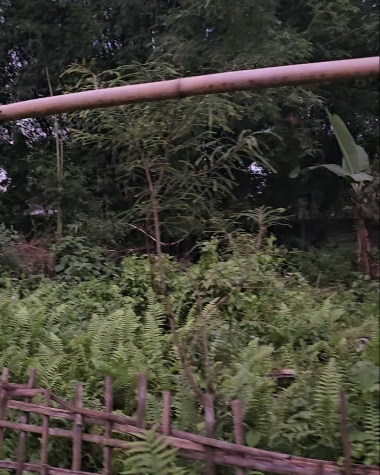 Residential Plot in Jorhat, Jorhat