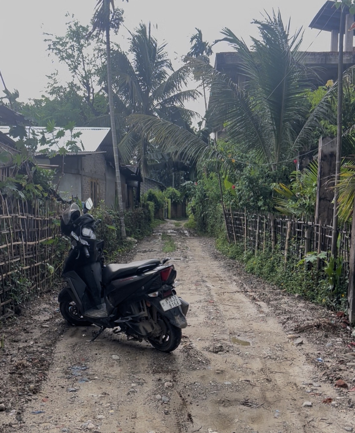 Residential Plot in Cheuni Gaon, Jorhat